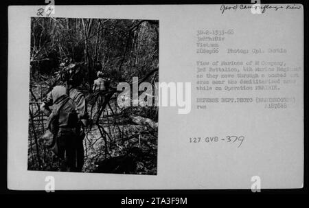 Marines der M Kompanie, 3. Bataillon, 4. Marine-Regiment, bewegen sich während der Operation PRAIRIE am 2. September 1966 durch ein bombardiertes Gebiet in der Nähe der entmilitarisierten Zone. Sie tragen eine Vielzahl amerikanischer Waffen und sind gut getarnt. Das Foto mit dem Titel View 3D-2-1535-66 wurde von CPL. Durbin aufgenommen. Stockfoto