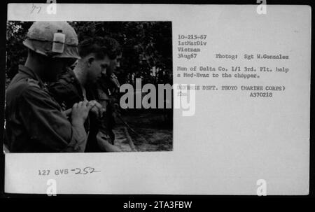 Militärangehörige in Vietnam helfen bei der medizinischen Evakuierung eines verwundeten Soldaten. Mitglieder der Delta Company von der 1. Marine Division am 3. August 1967 helfen, den verwundeten Soldaten in einen Hubschrauber zu bringen. Dieses Foto wurde von Sgt. W. Gonzalez aufgenommen und ist Teil der Fotosammlung des Verteidigungsministeriums. Stockfoto