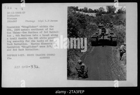 Marines aus dem 3. Bataillon, 4. Marines machen eine Pause, während sie die Panzerpanzer des 3. Panzerbataillons während der Operation 'Kingfisher' am 29. Juli 1967 schützen. Die Operation erfolgte innerhalb der DMZ, 2500 Meter nordwestlich von Nui Con Thien in Vietnam. Stockfoto