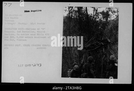 Ein verwundeter Marine wird während der Operation Rush bei Hills 479 und 500, 4.000 Meter südwestlich von Phu Bai, Vietnam, evakuiert. Das Foto wurde am 5. August 1967 von LCpl Porter von der 3. Marine Division aufgenommen. Die Operation Rush beinhaltete die Aktionen der G-Kompanie, 2. Bataillon, Vierte Marines. Das Verteidigungsministerium stellte das Foto zur offiziellen Verwendung zur Verfügung. (Bildunterschrift: Art des Ereignisses, Datum, Ort, negativer Code, betroffene Einheit, Fotograf und relevante Referenznummern.) Stockfoto