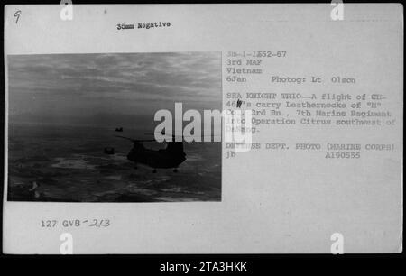 Ein Flug von CH-46-Hubschraubern beförderte Mitglieder der 'M' Co., 3rd Bn., 7th Marine Regiment während der Operation Citrus südwestlich von Danang am 9. Januar 1967. Dieses Foto, aufgenommen von Lieutenant Olson, zeigt ein Trio von Sea Knights, die in Vietnam landen. Das ist ein Foto des Verteidigungsministeriums. Stockfoto