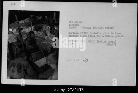 Marines vom 2. Bataillon, 4. Marines diskutieren kurz über die Planung einer Patrouillenroute während des Vietnamkriegs im Juni 1965. Das Foto wurde von Sgt L.D. Choate aufgenommen und am Fuß der 3. Marine-Division aufgenommen. Stockfoto