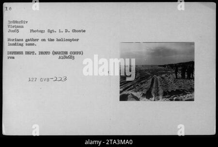 Marines der 3rd Marine Division in Vietnam, Juni 1965, bereiten sich auf das ein- oder Aussteigen von Hubschraubern in einer Landezone vor. Die Truppen versammeln sich in der Nähe der Hubschrauber, wie auf diesem offiziellen Foto des Verteidigungsministeriums von Sgt. L. D. Choate festgehalten. Bildunterschrift: A184683 rum 127 GVB-223. Stockfoto