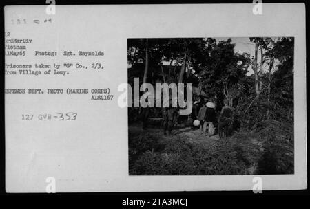 Viet Cong Verdächtige und Gefangene, die von G' Co., 2/3 Marine Regiment, am 11. Mai 1965 aus dem Dorf Lemy entführt wurden. Das Foto ist Teil der Sammlung amerikanischer Militäraktivitäten während des Vietnamkriegs und ist offiziell dem Verteidigungsministerium unterstellt. Dieses Bild hat die Nummer 353 und wurde von Sgt. Reynolds aufgenommen. Stockfoto