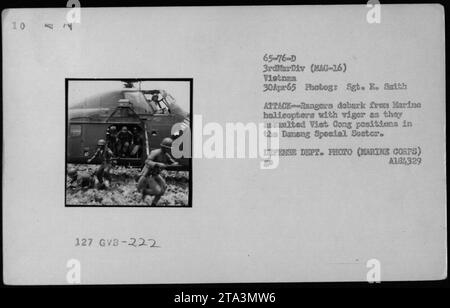 Die US-Marines der 222. Hubschrauberstaffel steigen während eines Angriffs auf Viet Cong-Positionen im Danang Special Sector von UH-34 aus. Dieses Foto, aufgenommen am 30. April 1965, zeigt Marines der 3. Marine Division (mag-16) in Aktion. Photog. Quelle: Sgt. E. Smith. Foto des Verteidigungsministeriums (Marine Corps). A181 329. Stockfoto