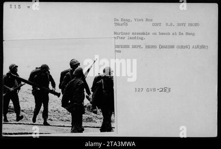 Marines versammeln sich am Strand von da Nang, Vietnam, nach einer Landung am 7. März 1965. Dieses Foto der US Navy zeigt militärische Aktivitäten während des Vietnamkriegs. Bildnachweis: Verteidigungsministerium - Foto der U.S. Navy. Stockfoto