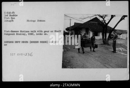 US-Marines in Begleitung von Dolmetschern/Verhörern am 10. August 1964 in Tiet Hun in Vietnam. Staff-Sergeant Blakley wird beobachtet, wie die vietnamesischen Marines ihre Ausrüstung tragen. Dieses offizielle Foto des Verteidigungsministeriums ist mit A183560 beschriftet und stammt aus den Aufzeichnungen der 3. Marine-Division. Stockfoto