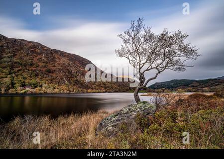 Llyn Dinas, Snowdonia, Nordwales Stockfoto