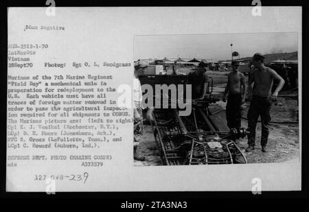 Marines des 7. Marine-Regiments führen während des „Field Day“ in Vietnam am 28. September 1970 Wartungsarbeiten an einem mechanischen Fahrzeug durch. Das Fahrzeug muss gründlich von Fremdkörpern gereinigt werden, um die landwirtschaftliche Inspektion zu bestehen, bevor es in die USA verlegt wird (siehe Bild von links nach rechts): CPL K. J. Voelkel, LCP D. E. Moore, PFC R. Gross und LCp1 C. Howard. Foto von Sgt. O.L. Snodgrass. (Foto: AMD-2512-1-70, 1stMarDiv Vietnam, 28Sept70) Stockfoto