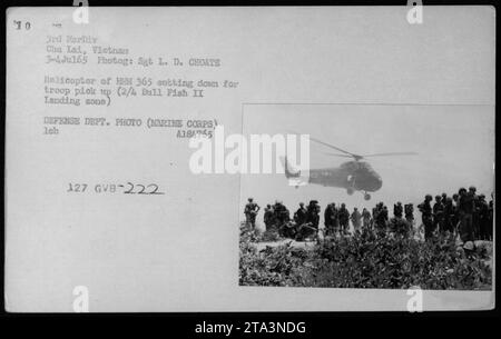 UH-34 Hubschrauber der 3. Marine Division in Chu Lai, Vietnam, landen, um Truppen am 3. Juli 1965 abzuholen. Das Foto wurde von Sgt. L.D. Choate aufgenommen. Dieses Bild zeigt einen Hubschrauber von HR 365, der sich auf die Truppenextraktion in der Landungszone 2/4 Bull Fish II vorbereitet. Es ist ein Foto des Verteidigungsministeriums vom Marine Corps. Stockfoto