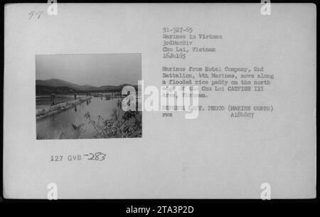 Marines von der Hotel Company, 2. Bataillon, 4. Marines, Teil der 3. Marine Division, ziehen am 16. Juli 1965 durch überflutete Reisfelder entlang des Chu Lai WELS III Gebiets. Fotodokumente militärische Operationen in Vietnam. Stockfoto
