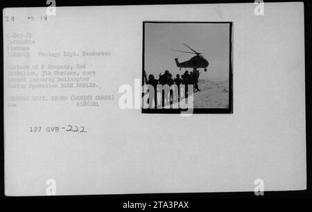 Marines von der F Company, 2. Bataillon, 7. Marines, nähern sich einem UH-34 Hubschrauber während der Operation BLUB MARLIN am 11. November 1965. Das Foto, aufgenommen von LCpl. Hendersen zeigt die militärischen Aktivitäten der 3. Marine Division in Vietnam. Das Bild ist vom Verteidigungsministerium als A186121 127 GVB-222 beschriftet. Stockfoto