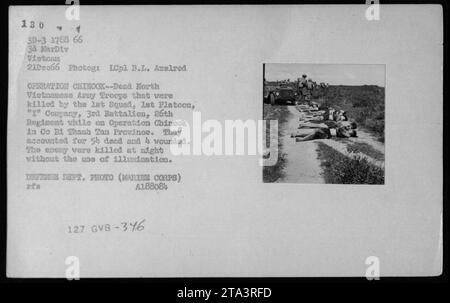 Bildunterschrift: „Tote Truppen der nordvietnamesischen Armee wurden von US-Marines während der Operation Chinook in der Provinz Thanh Tan, Vietnam, 21. Dezember 1966 getötet. Das Let Squad, 1. Zug, I-Kompanie, 3. Bataillon, 26. Regiment, machte 5 Tote und 4 verwundete feindliche Soldaten ohne Beleuchtung aus. Foto Des Verteidigungsministeriums (Marine Corps). Stockfoto