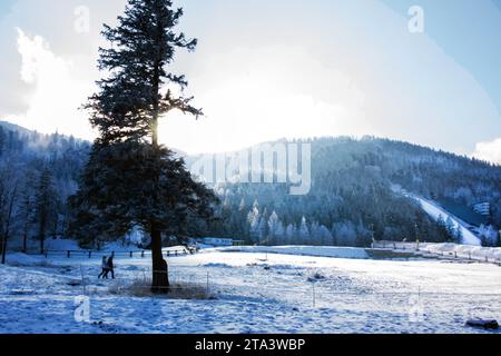 Wunderschöner Blick auf das Winterresort Zakopane. Verschwommene Bewegungen beim Gehen. Skisprungschanze in der Ferne. Gefrorener Wald in weißem Schnee und Eis - fantastisch! Stockfoto