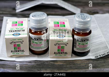 Kairo, Ägypten, 6. November 2023: Alzental 20 mg pro ml Suspension ( Albendazol ) 20 ml Flasche, Breitband-Anthelmintikum, zur Behandlung von Enterobiasis, Ascariasi Stockfoto