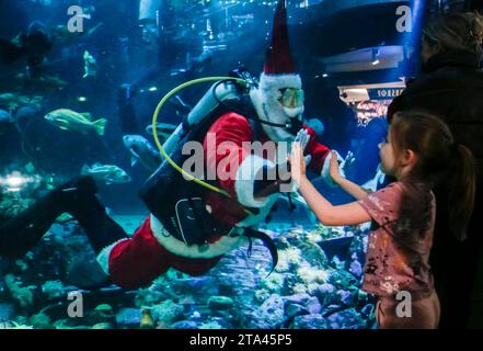 Vancouver, Kanada. November 2023. Ein Taucher, der als Weihnachtsmann verkleidet ist, interagiert am 28. November 2023 im Vancouver Aquarium in Vancouver, British Columbia, Kanada. Quelle: Liang Sen/Xinhua/Alamy Live News Stockfoto