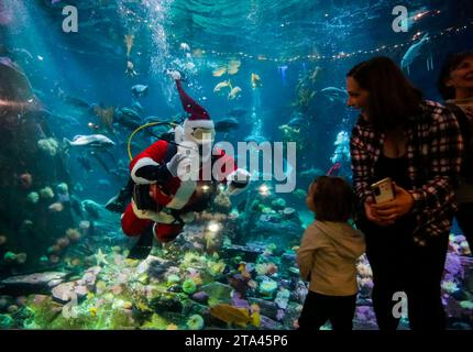 Vancouver, Kanada. November 2023. Ein Taucher, der als Weihnachtsmann verkleidet ist, winkt den Besuchern im Vancouver Aquarium in Vancouver, British Columbia, Kanada, am 28. November 2023 zu. Quelle: Liang Sen/Xinhua/Alamy Live News Stockfoto