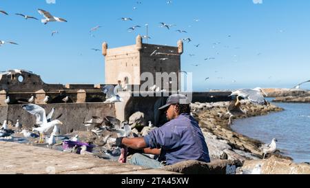 Essaouira, Marokko - 17. September 2022: Marokkanische Fischer reinigen und bereiten ihren täglichen Fang am Sqala du Port vor, einem Verteidigungsturm am Fischfang Stockfoto