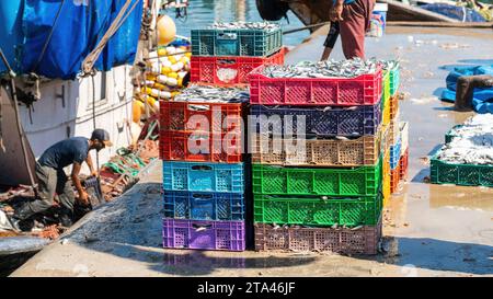 Essaouira, Marokko - 17. September 2022: Kisten voller Fische, die täglich von Fischern in den Hafen von Essaouira gebracht werden Stockfoto