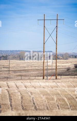 Stromleitungen auf hohen Holzpfählen mit Blick auf das Erntefeld im Rocky View County, Alberta, Kanada. Stockfoto