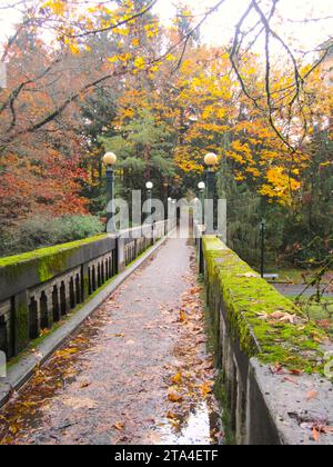 Moosbedeckter Betonsteg im Arboretum nahe U of W in Seattle Washington USA Stockfoto