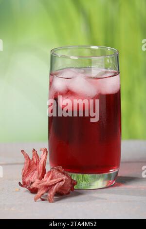 Erfrischender Hibiskustee mit Eiswürfeln im Glas und roselblumen auf weißem Holztisch vor verschwommenem grünem Hintergrund Stockfoto