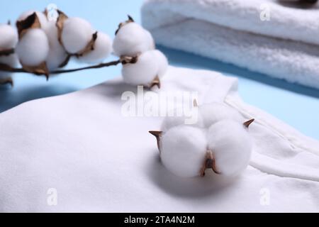 Baumwollzweig mit flauschigen Blumen und weißem T-Shirt auf hellblauem Hintergrund, Nahaufnahme Stockfoto