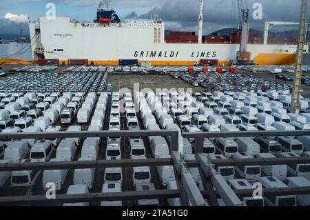 Brasilianische Ausfuhr, Autos, die im Hafen von Rio de Janeiro abgestellt wurden, werden verschickt und exportiert. Stockfoto