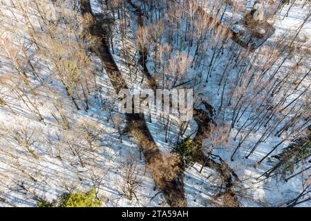 Luftbild einer Landstraße durch einen Winterwald neben einem Bach in einer Schlucht Stockfoto