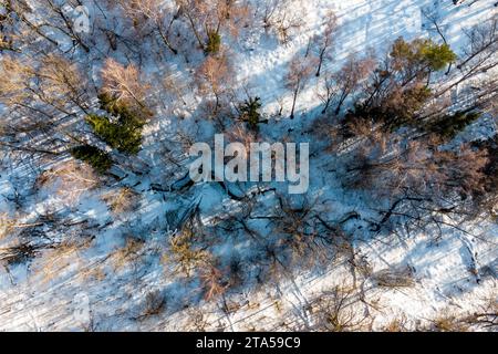 Blick von oben auf einen Winterwald mit einem kleinen Bach in einer Schlucht Stockfoto