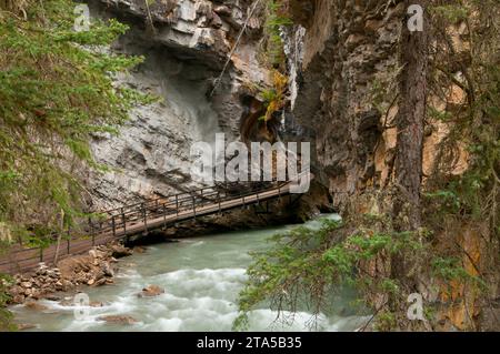 Laufsteg über Johnston Creek entlang Johnston Canyon Trail, Banff Nationalpark, Alberta, Kanada Stockfoto