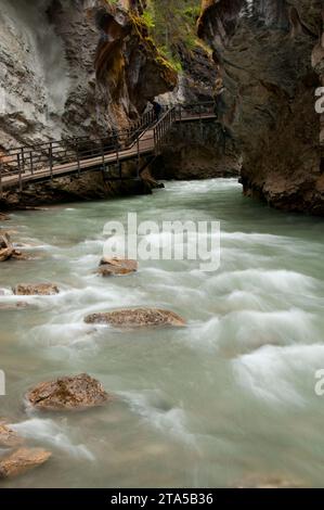 Laufsteg über Johnston Creek entlang Johnston Canyon Trail, Banff Nationalpark, Alberta, Kanada Stockfoto