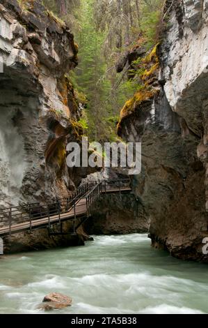 Laufsteg über Johnston Creek entlang Johnston Canyon Trail, Banff Nationalpark, Alberta, Kanada Stockfoto