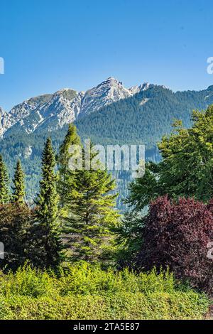 Wallgau liegt im Oberen Isartal etwa 14 km östlich von Garmisch-Partenkirchen und gehört zum Werdenfelser Land in der Region Oberland. Neben Mi Stockfoto