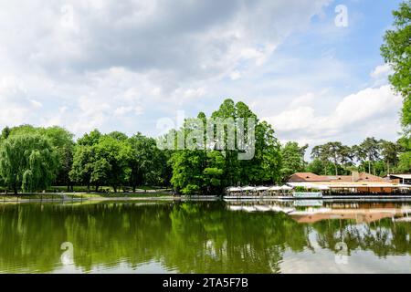 Craiova, Rumänien, 28. Mai 2022: Lebhafte Landschaft im Nicolae Romaescu Park in der Grafschaft Dolj, mit See, Wasserlillien und großen grünen Tres in einem wunderschönen s Stockfoto