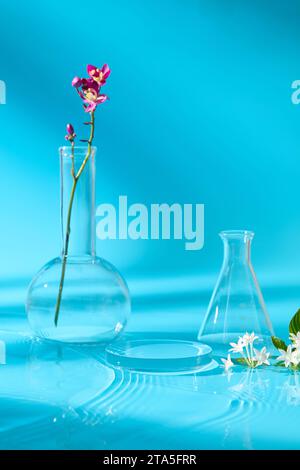 Ein Blumenzweig ist in einem Flachboden-florentiner-Kolben angeordnet, der mit einem Podium und einem erlenmeyerkolben ausgestellt ist. Freie Fläche für Produktwerbung Stockfoto