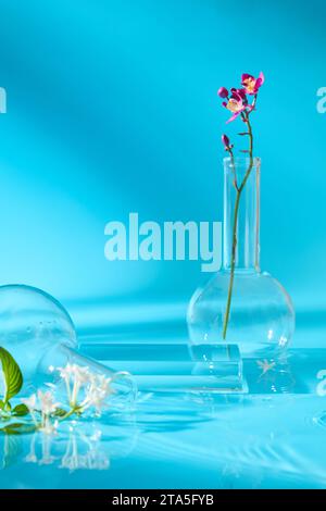 Transparentes Podium in rechteckiger Form, dekoriert mit Flachboden-florentiner-Flaschen und wenigen Blumen. Realistisches Podiumsmuseum Stockfoto