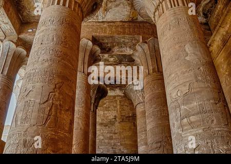 Ein Blick auf die Säulen des Tempels von Edfu in Ägypten, erbaut während der hellenistischen Zeit, gewidmet dem Gott Horus. Stockfoto