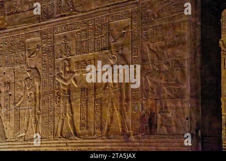 Ein Inneres des Tempels von Edfu mit ägyptischen Hieroglyphen, die an den Wänden und Säulen gemeißelt wurden. Stockfoto