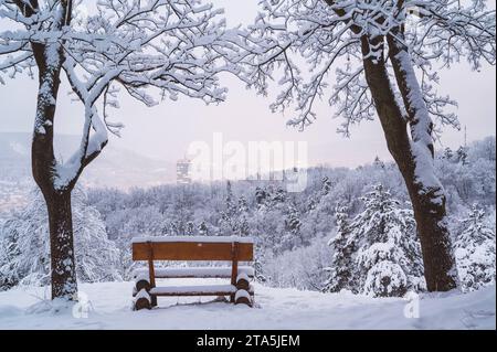 Tolle Neuschneestimmungen in Jena Thüringen. Eine schneebedeckte Bank im Vordergrund auf dem Weg zwischen Windknollen und Landgrafen oberhalb der Stadt. In der Ferne die Spitze des Jentower. Landgrafen *** tolle Neuschneestimmung in Jena Thüringen Eine schneebedeckte Bank im Vordergrund auf dem Weg zwischen Windknollen und Landgrafen oberhalb der Stadt in der Ferne die Spitze des Jentower Landgrafen Credit: Imago/Alamy Live News Stockfoto