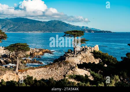 Lone Cypress auf dem 17 Mile Drive Monterey Stockfoto