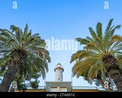 San Benedetto del Tronto Stadt und Gemeinde in Marken, Italien, an der Adria, Leuchtturm und Palmen Stockfoto