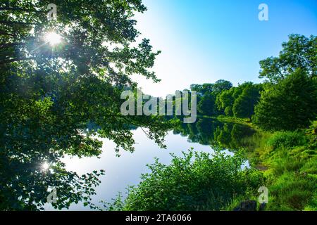 Weinfelder Maar, Totenmaar, Vulkansee bei Daun, Rheinland-Pfalz, Deutschland Stockfoto