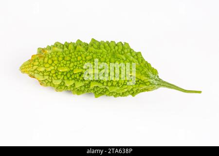 Sein lateinischer Name ist Momordica charantia L. und er gehört zur Familie der Cucurbitaceae und ist unter den Menschen als der potente Granatapfel bekannt. Turk Stockfoto