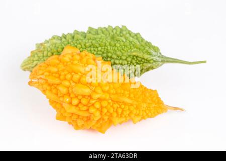 Sein lateinischer Name ist Momordica charantia L. und er gehört zur Familie der Cucurbitaceae und ist unter den Menschen als der potente Granatapfel bekannt. Turk Stockfoto