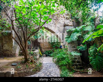 Kreuzgang von San Giovanni degli Eremiti (St. Johannes der Eremiten) , eine alte ehemalige Klosterkirche im arabisch-normannischen und romanischen Stil - Palermo, Italien Stockfoto