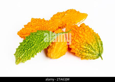 Sein lateinischer Name ist Momordica charantia L. und er gehört zur Familie der Cucurbitaceae und ist unter den Menschen als der potente Granatapfel bekannt. Turk Stockfoto