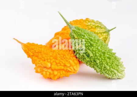 Sein lateinischer Name ist Momordica charantia L. und er gehört zur Familie der Cucurbitaceae und ist unter den Menschen als der potente Granatapfel bekannt. Turk Stockfoto