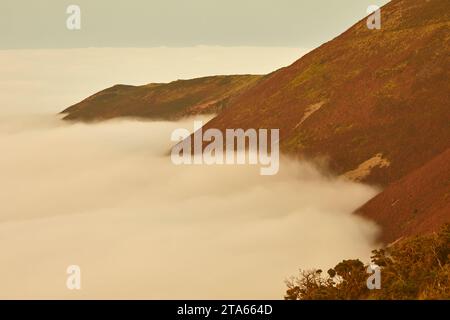 Abendlicher Meeresnebel entlang der Küste am Foreland Point, aus Sicht von Countisbury Hill, Exmoor National Park, Devon, Großbritannien. Stockfoto