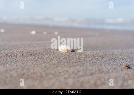 Ein Blick auf Muscheln und Boote an der Küste des Kaspischen Meeres Stockfoto